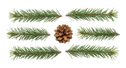 Pine cone and fir branches arranged symmetrically on a white background.