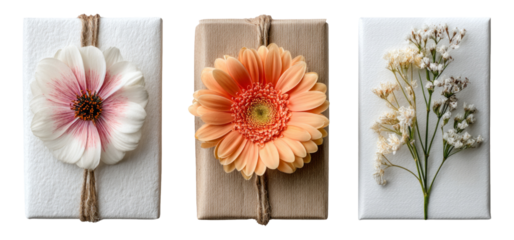 Three Elegant Gift Boxes with Flowers on Isolated Transparent Background