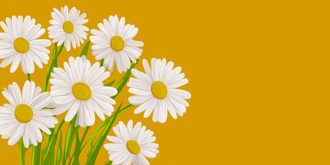 マーガレットの花束と余白｜バナー・ヘッダー向け