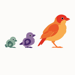 A charming illustration depicts three stylized birds of different sizes and vibrant colors, set against a clean white background.