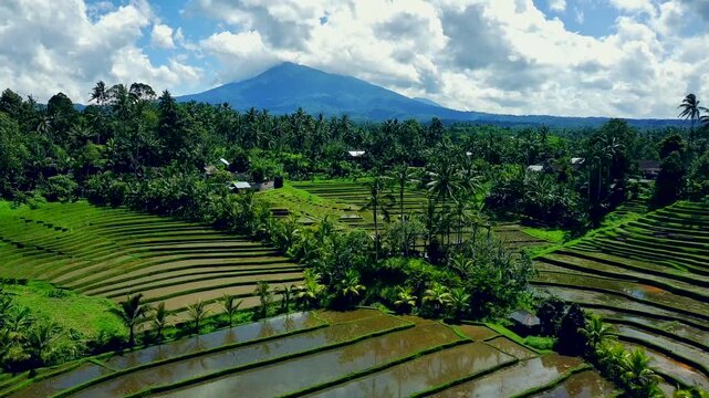 Enchanting Aerial View of Belimbing Rice Terraces &ndash; Hidden Paradise in Pupuan, Tabanan Bali