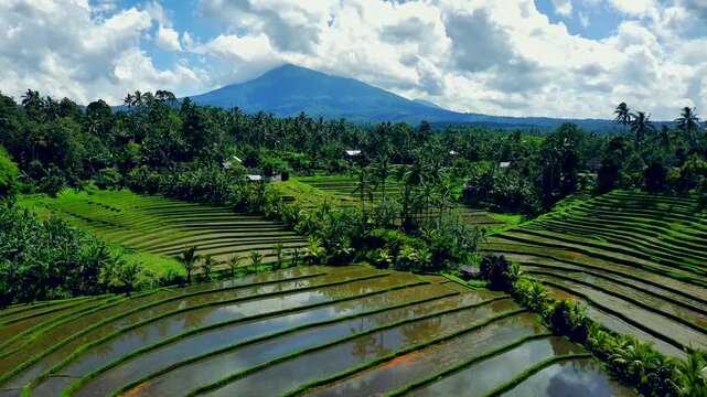 Enchanting Aerial View of Belimbing Rice Terraces &ndash; Hidden Paradise in Pupuan, Tabanan Bali
