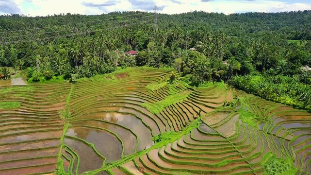 Enchanting Aerial View of Belimbing Rice Terraces &ndash; Hidden Paradise in Pupuan, Tabanan Bali