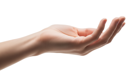 Open Hand, Gesture of Giving or Receiving, on White Background
