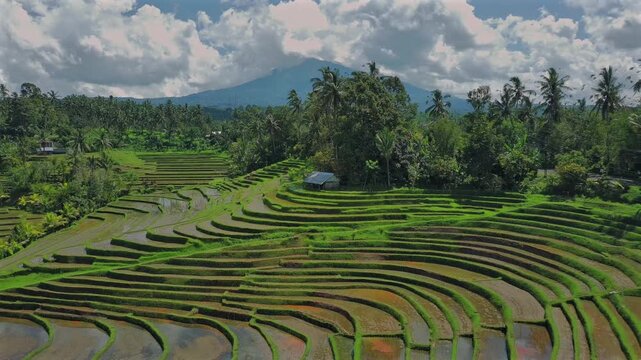 Enchanting Aerial View of Belimbing Rice Terraces &ndash; Hidden Paradise in Pupuan, Tabanan Bali