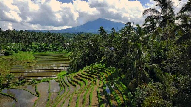 Enchanting Aerial View of Belimbing Rice Terraces &ndash; Hidden Paradise in Pupuan, Tabanan Bali