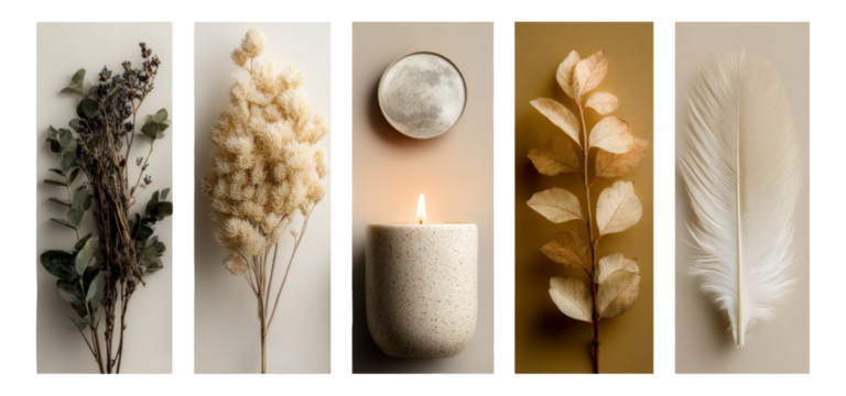 Elegant Isolated Objects Featuring Natural Elements and Minimalist Design