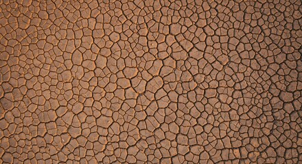 Cracked dry brown soil forms a detailed pattern with deep fissures and irregular shapes in the arid land