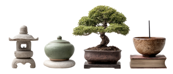 Isolated Bonsai Tree and Decorative Objects on Transparent Background