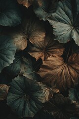 A close-up shot reveals a dense cluster of large, overlapping leaves in muted teal and deep brown hues, exhibiting a variety of textures and subtle light variations.