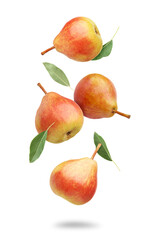 Many fresh pears and green leaves falling on white background