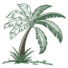 palm tree vector illustration branch, silhouette, illustration, vector, plant, summer, palm, tree, coconut, isolated, palm tree, exotic, sun, vacation, palms, sky, green, beach, nature, tropical, leaf