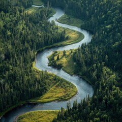 A serene river flows through a lush boreal landscape.