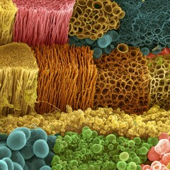 Detailed microscopic examination of various textile fiber types.