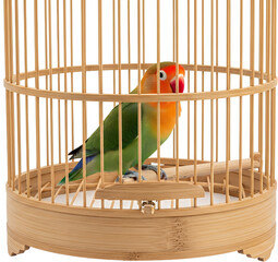 A Vibrant Green And Orange Lovebird Perched Inside A Circular Light Brown Bamboo Birdcage With Vertical Wooden Bars Isolated On A Transparent Background Pet