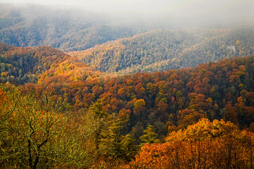 Autumn Landscape, Great Smoky Mountains