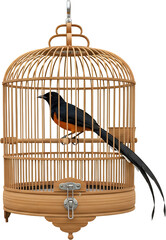 A small songbird with black plumage and an orange breast sits inside a traditional round wooden birdcage with a metal latch and hanging ring Pet Avian