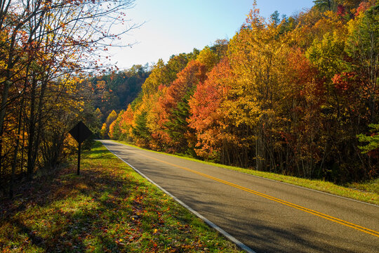 Autumn, Foothills Parkway, East TN