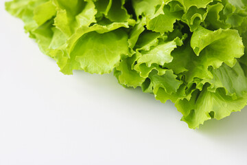 A minimalist shot of fresh green lettuce leaves on a top right corner of a clean white background.