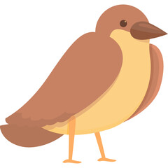 A Brown And Yellow Bird Stands On Its Thin Orange Legs In A Simple Graphic Illustration With A Transparent Background And Soft Lighting