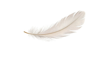 Obraz premium Delicate feather isolated on transparent background, showcasing its intricate details and soft texture for various design purposes
