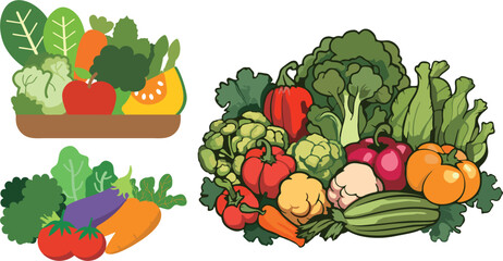 Vector collection of Vegetable 