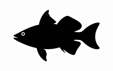 shark vector illustration