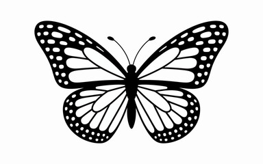 butterfly vector illustration