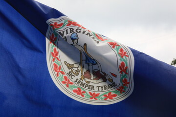Official flag of the State of Virginia