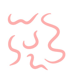 Obraz premium Tape worm vector