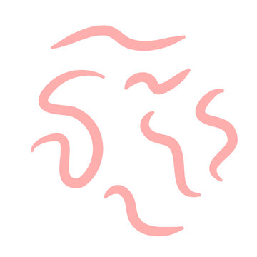 Tape worm vector