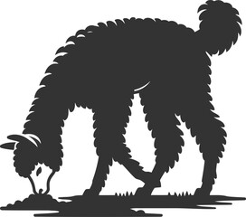 Animal alpaca vector silhouette