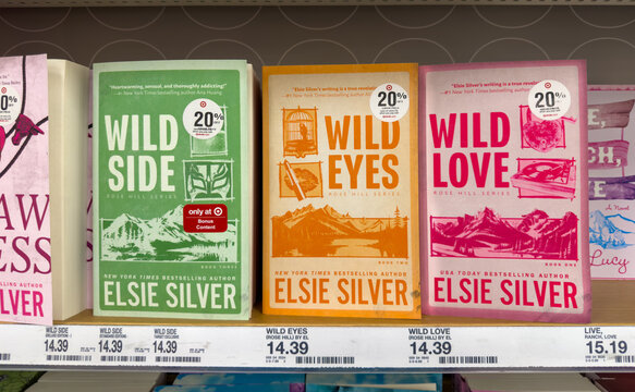 Elsie Silver Wild Series Book Display