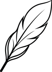 Obraz premium elegant feather icon in thin clean vector.