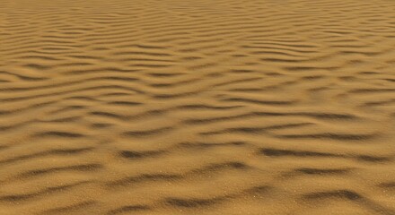 Obraz premium Closeup of rippled sand dunes illuminated by sunlight Sand texture shows small particles and the horizon is out of focus