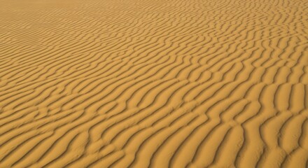 Fototapeta premium Closeup of rippled sand dunes showing patterns of ridges and furrows with changing textures and shadows