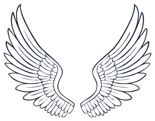 Obraz premium Elegant symmetrical wings illustration, line art design, angel wings drawing, bird wings clip art, heavenly symbolic ornament.