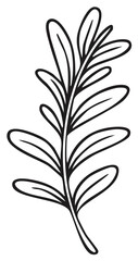Elegant hand drawn black line art botanical sprig minimalist plant branch vector illustration