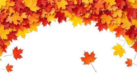 Illustration of autumn maple leaves falling, isolated on white background, colorful foliage