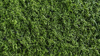 synthetic grass background, which is usually used for sports fields