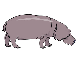 Hippopotamus in continuous line drawing style