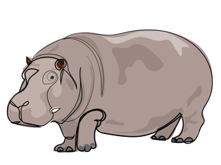Hippopotamus in continuous line drawing style