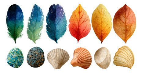 Vibrant Watercolor Nature Elements Collection Featuring Leaves and Shells