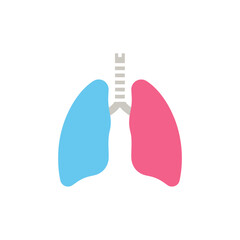 Stylized graphic illustration of human lungs in blue and pink colors.