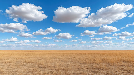 Obraz premium Vast plain under wide open sky filled with soft clouds, creating serene atmosphere