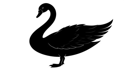 Silhouette of a graceful black bird