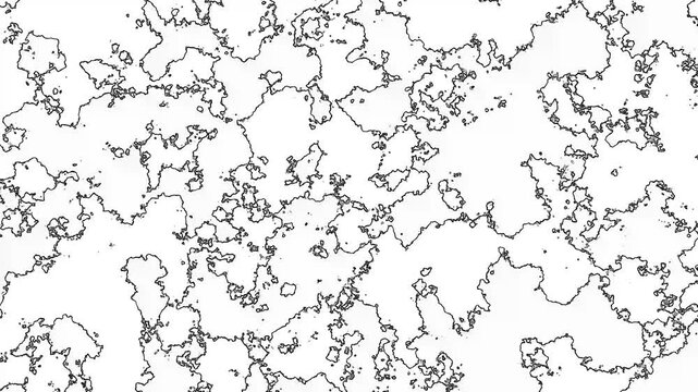 Dynamic Monochrome Pattern With Seamless Loop
