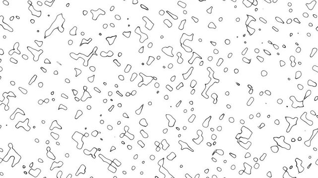 Morphing Geometric Shapes Changing Randomly