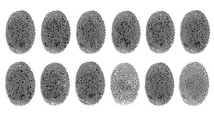 Collection of abstract fingerprint patterns isolated on transparent background