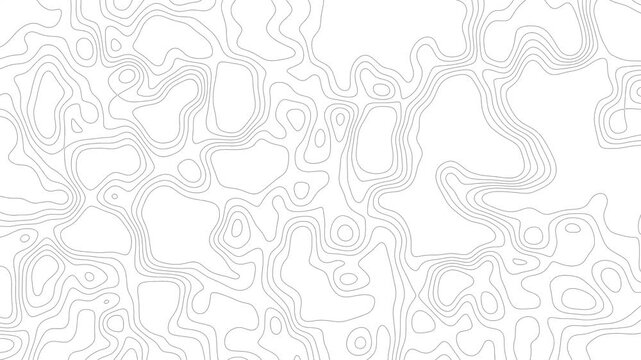 Seamless Topographic Background With Fluid Motion